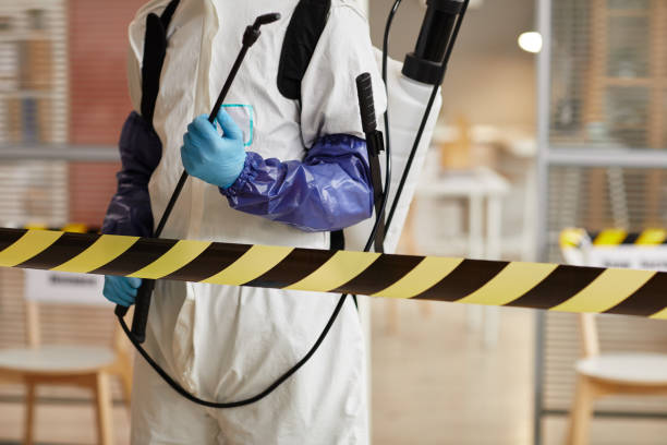 Professional Sewage Cleanup technician working in Central City, IL
